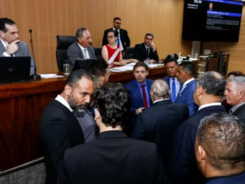 Campinas aprova lei que aumenta multas para maus-tratos a animais em até R$ 9,6 mil