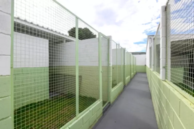 Campinas conclui primeira etapa de reforma do DPBEA com novos canis após denúncia de condições precárias