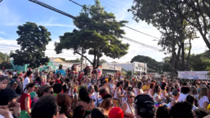 Campinas terá 67 desfiles de blocos de rua no carnaval com programação diversificada