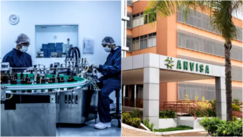 Cannabis medicinal: Brasil avança com regras da Anvisa e decisões do STF