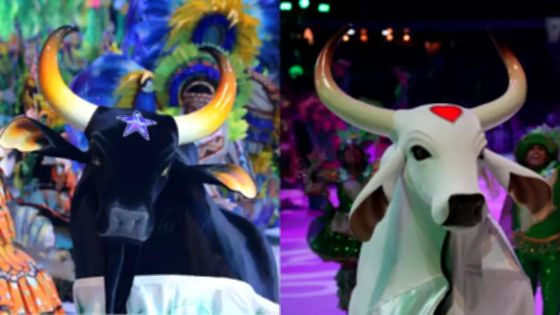 Caprichoso e Garantido divulgam calendário oficial para o Festival de Parintins 2026