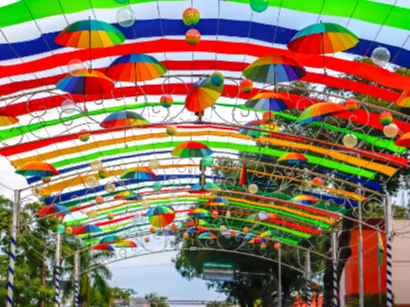 Carnaval 2026 no Acre: Festa em Rio Branco mantida apesar de cancelamento estadual