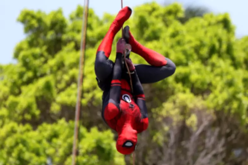 Carnaval de Olinda: Blocos tradicionais e polos animam o domingo de folia