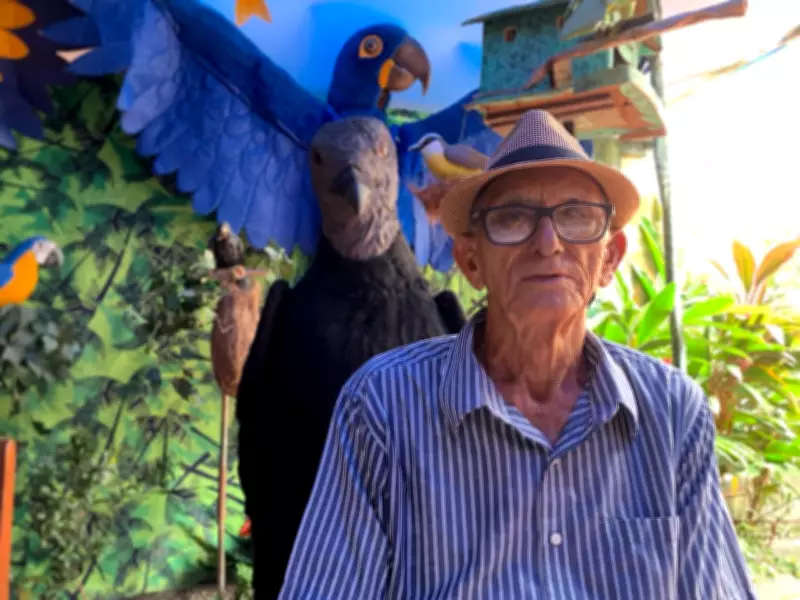Carnaval do interior: tradições únicas do Pará e Pernambuco revelam folia autêntica