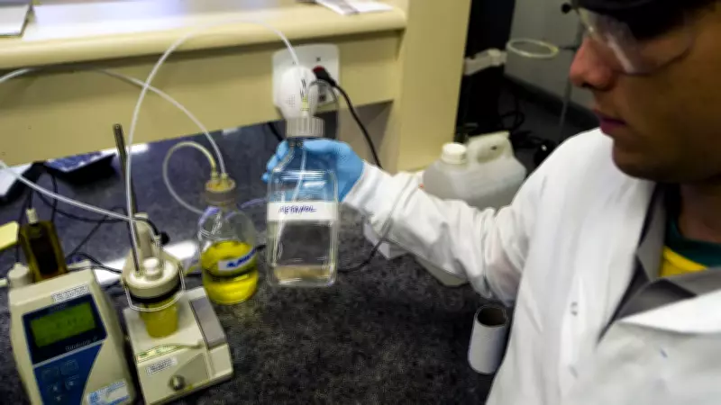 Carnaval em alerta: mortes por bebidas com metanol levam estados a reforçar fiscalização