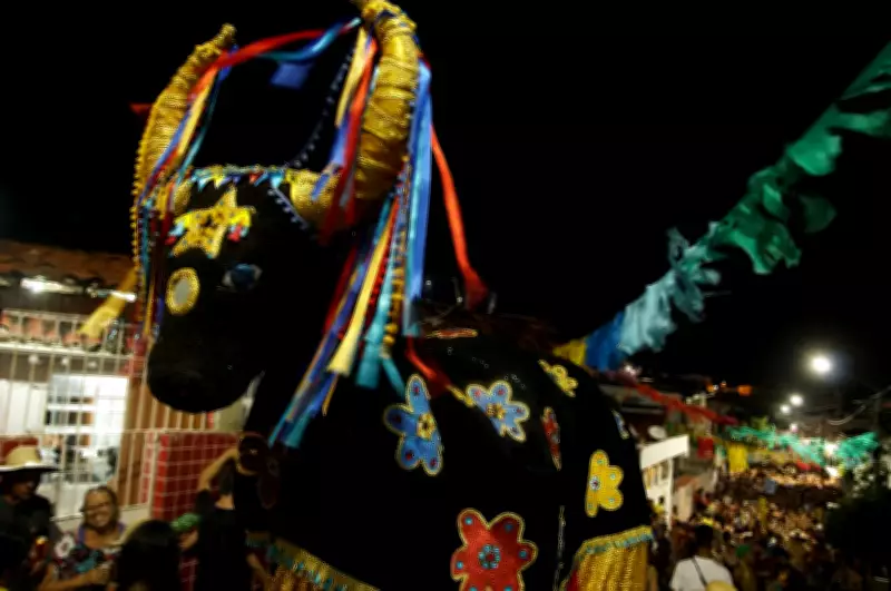 Carnaval em Pernambuco segue na Quarta-feira de Cinzas com blocos e shows