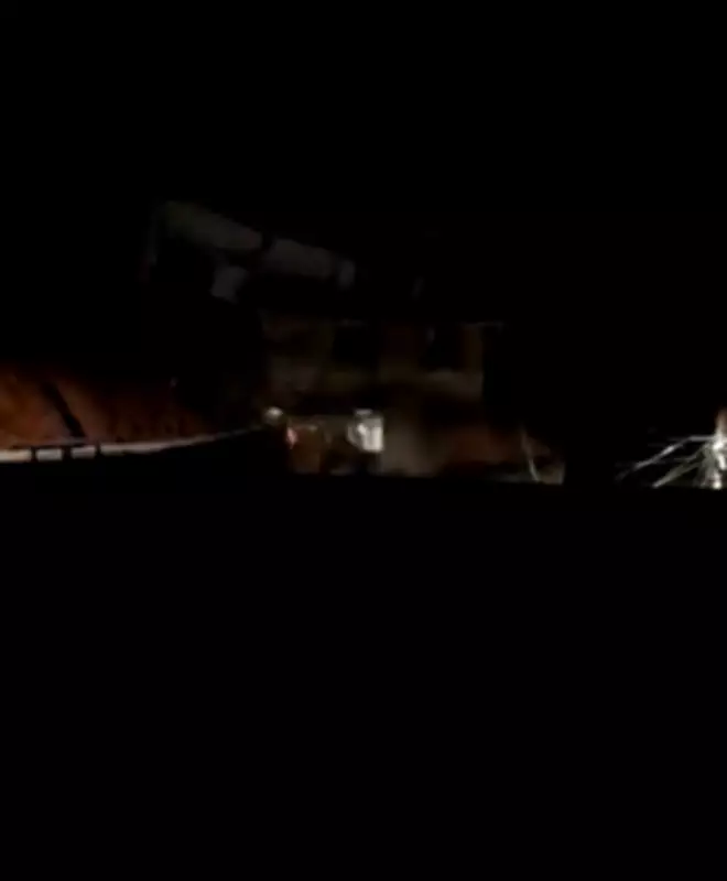 Casa desaba em Juiz de Fora após chuvas intensas; Defesa Civil orienta evacuação