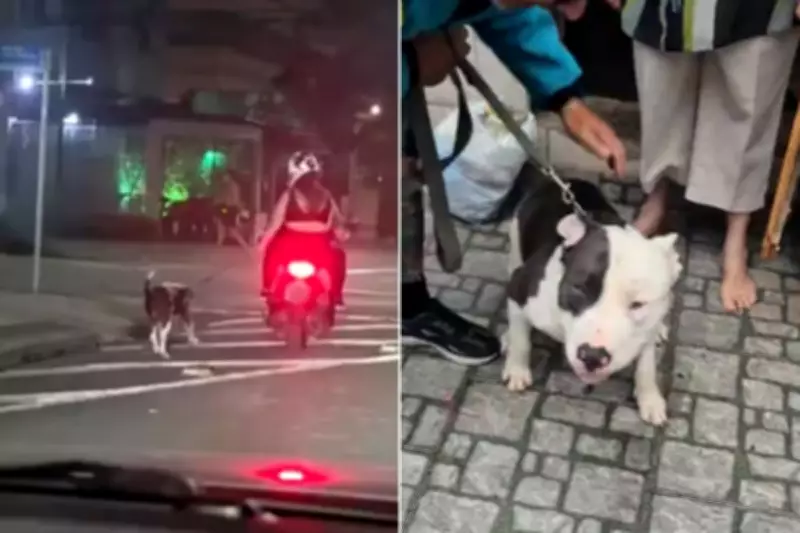 Casal é identificado por conduzir cachorro preso a coleira em moto em Santos, SP