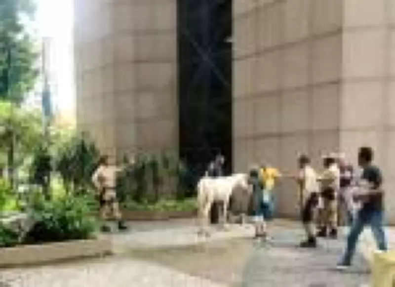 Cavalo invade sede da prefeitura do Rio após circular entre carros na Avenida Presidente Vargas