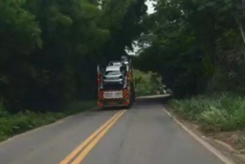 Cegonheira trafega na contramão para desviar de galhos em rodovia mineira