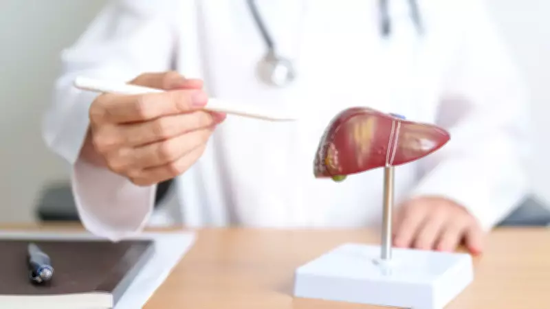 Chás e infusões que combatem o fígado gordo: nutricionista revela opções naturais