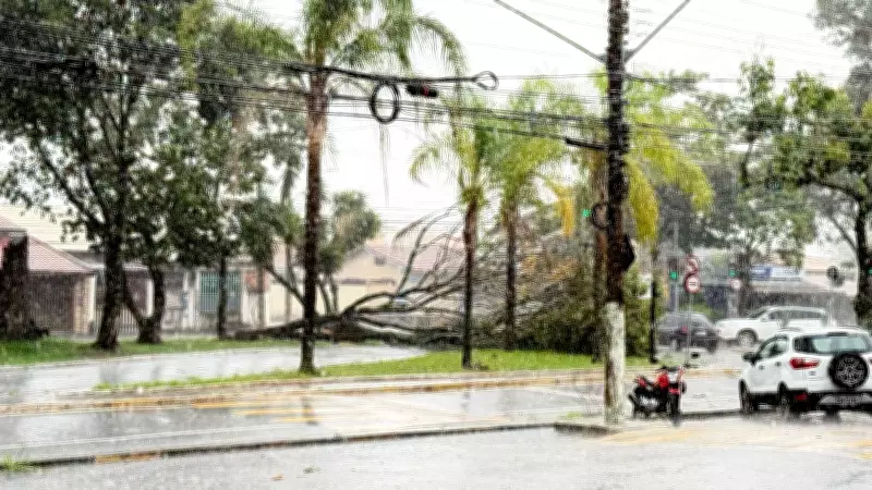 Chuva forte e ventania causam estragos em Taubaté, derrubando escola e árvores