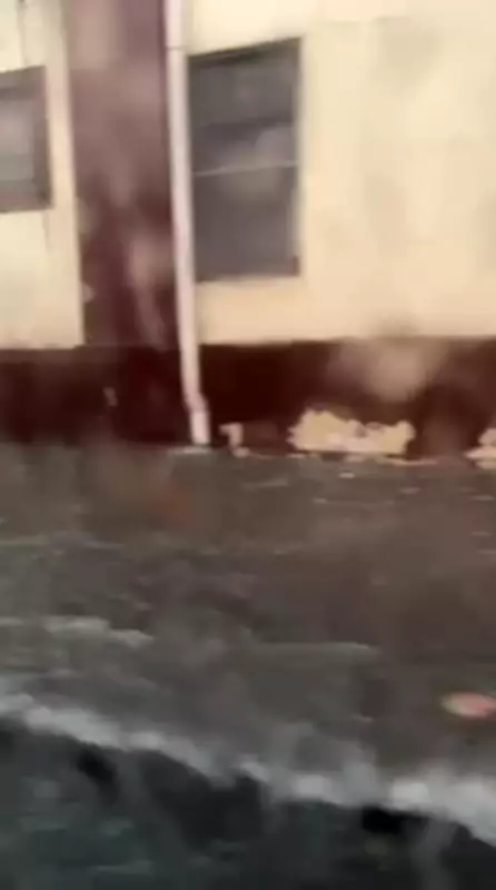 Chuva intensa causa alagamentos e queda de árvore em bairros do Rio de Janeiro