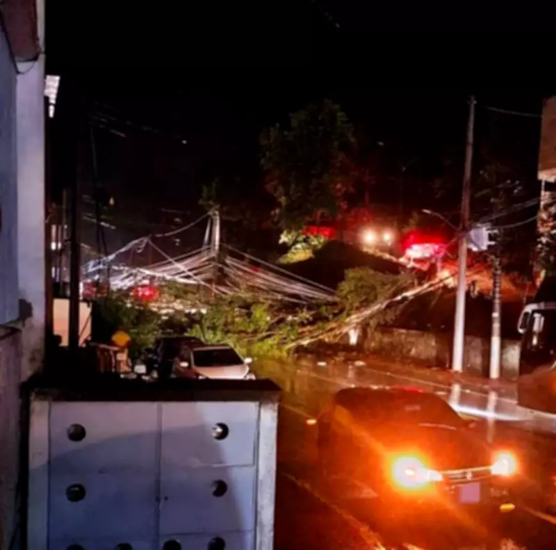 Chuva intensa causa transtornos e queda de árvores em Piraí, no RJ