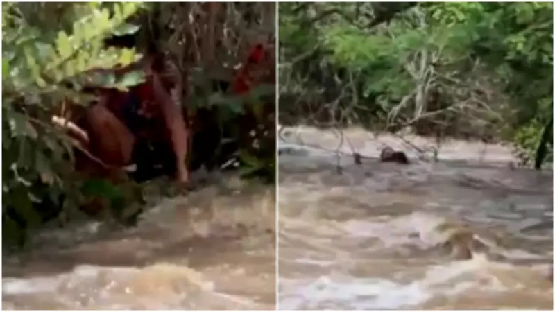 Chuva intensa deixa três pessoas ilhadas em riacho no interior do Ceará
