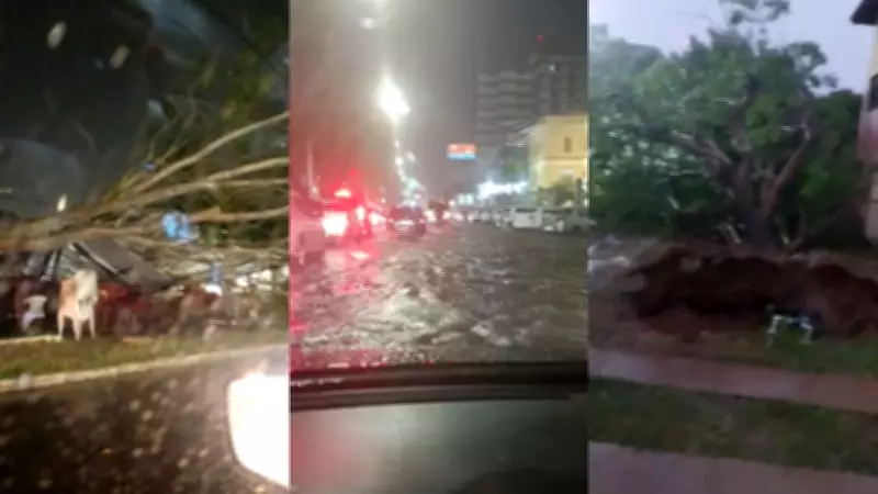 Chuva intensa derruba árvore sobre trailer e causa alagamentos em Teresina