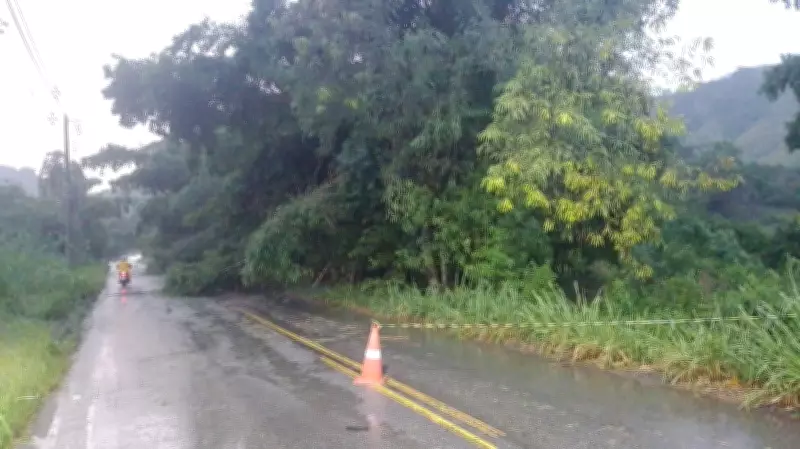 Chuva intensa provoca transtornos e queda de árvores em cidades do Rio de Janeiro