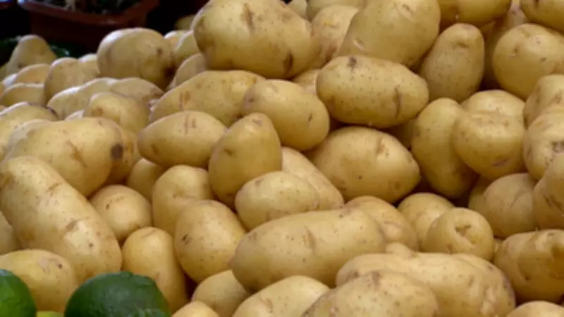 Chuvas Impactam Safra e Elevam Preço da Batata Especial no Sudeste
