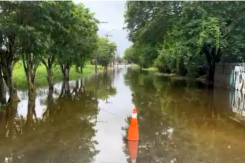 Chuvas intensas alagam Peruíbe e cidades da Baixada Santista, deixando centenas de desabrigados