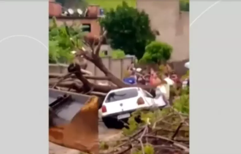 Chuvas intensas causam estragos em Cambuci, no Noroeste Fluminense