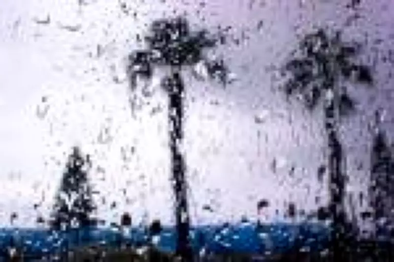 Chuvas intensas em Belo Horizonte: fevereiro já registra 50% acima da média histórica