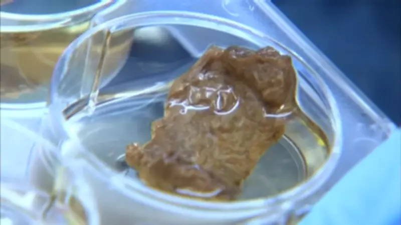 Cientistas criam método inovador para produzir carne sintética a partir de levedura de cerveja