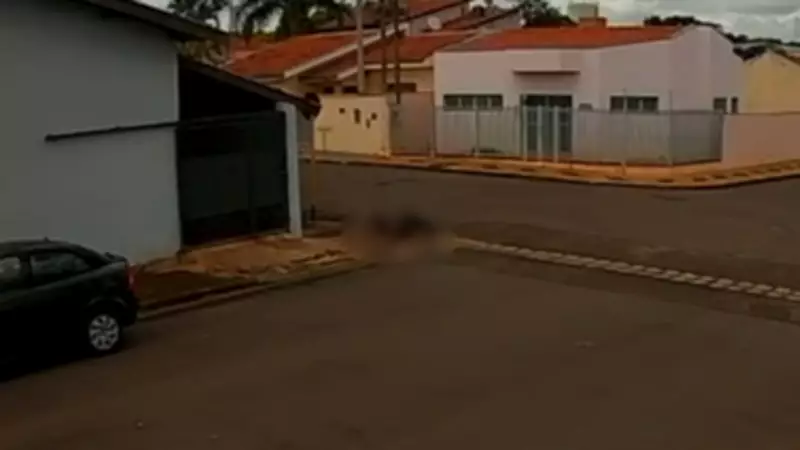 Câmera de segurança flagra ataque de pit bull a mulher em Lençóis Paulista