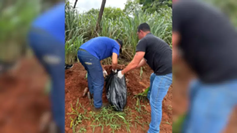Cão é desenterrado em Andradina após tutor mudar versão sobre morte por agressão