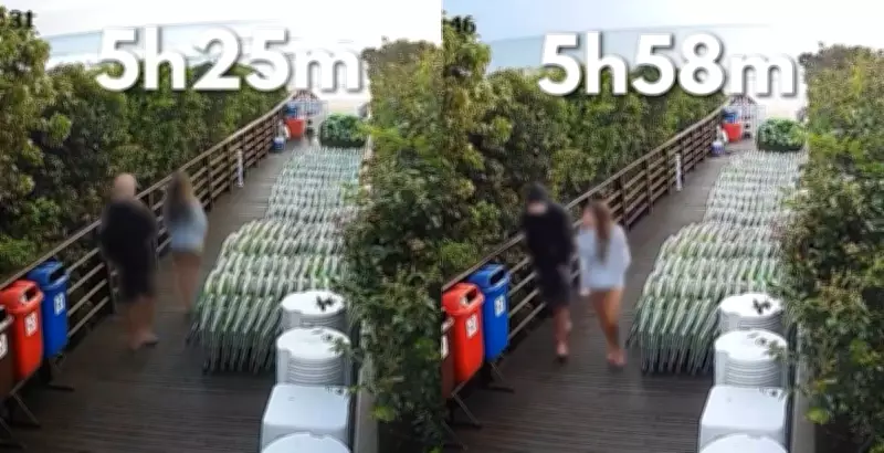 Cão comunitário Orelha é torturado e morre em Florianópolis; família de suspeito tenta ocultar provas