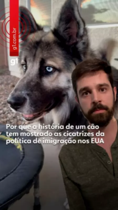 Cão Eclipse: história viral revela cicatrizes da política de imigração de Trump nos EUA