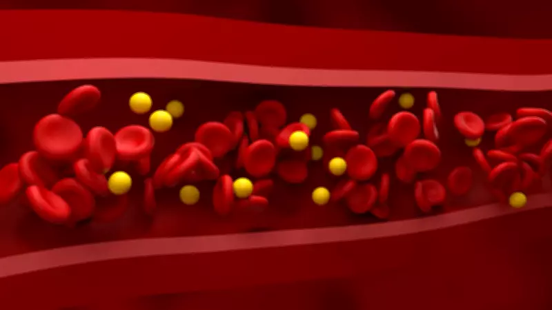 Colesterol HDL: o 'bom' que combate inflamação e protege o coração