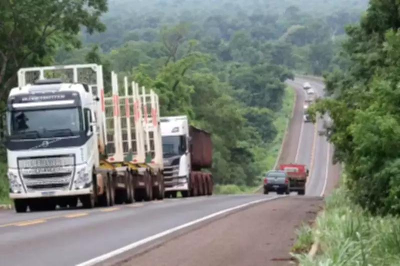 Consórcio inicia plano emergencial de reparos em 150 km da Rota da Celulose em MS
