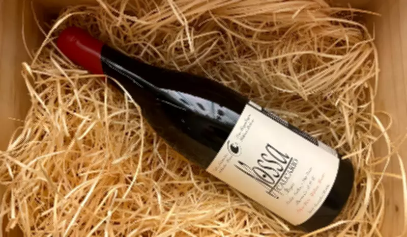 Consumidor de vinho busca origem e sustentabilidade, revela pesquisa nacional