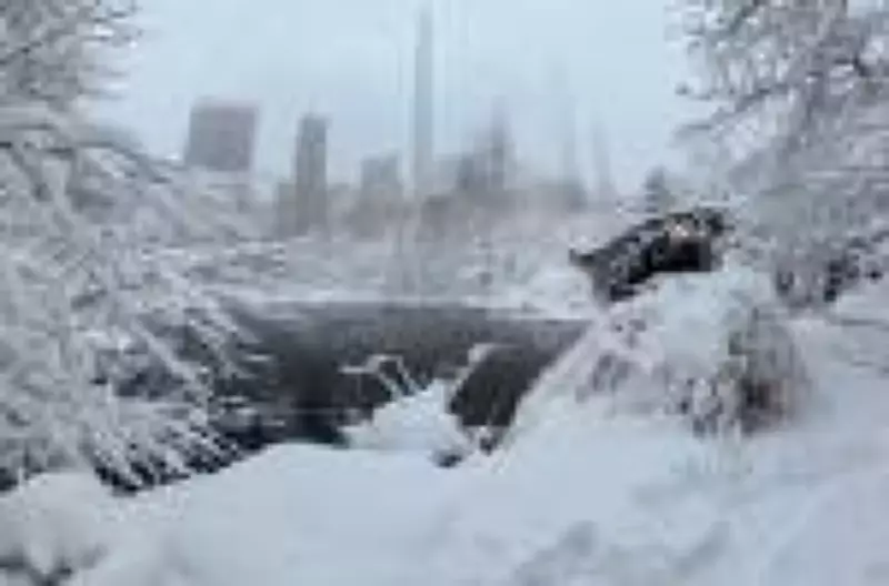 Corpo de homem de 58 anos é encontrado sob neve no Central Park em Nova York