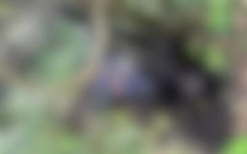 Corpo de jovem mototaxista é encontrado amarrado e carbonizado em Itaporanga D'Ajuda