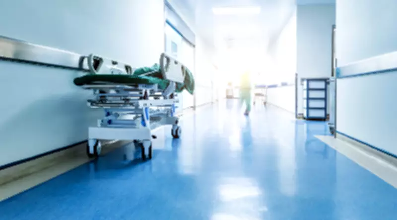 Corrupção na Saúde Cresce 79% em 5 Anos e Ameaça Vidas no Brasil