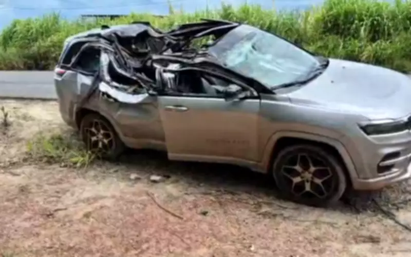 Criança de 1 ano morre após eucalipto cair sobre carro na MG-444, em Capetinga