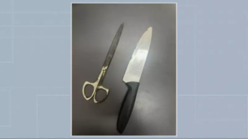 Criança de 7 anos salva mãe grávida ao ligar para polícia durante agressão do pai em BH