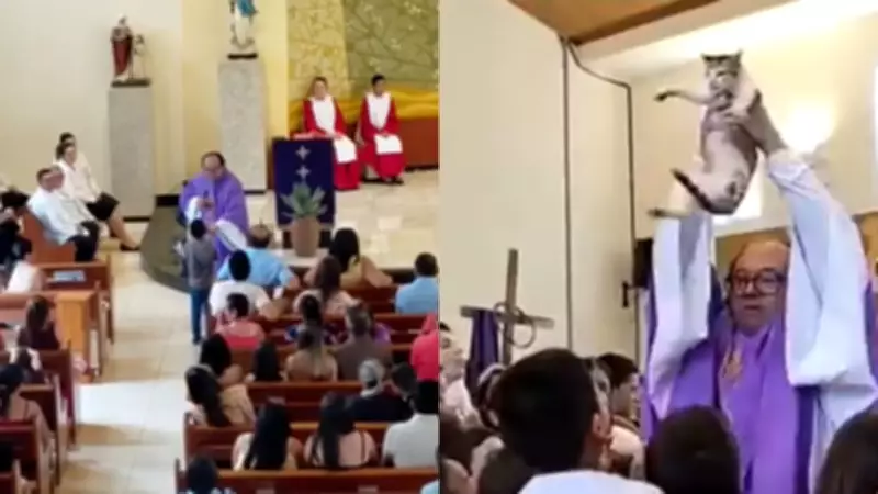 Criança pede bênção para gato durante missa e cena encanta paróquia no Ceará