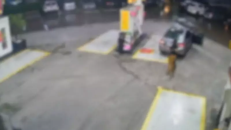 Criminoso sequestra mulher em Mogi das Cruzes e a obriga a fazer compra de R$ 350