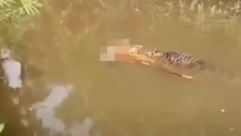 Crocodilo de 6 metros devora mulher que coletava mariscos na Indonésia