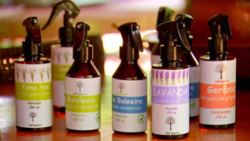 Cultivo de Plantas Aromáticas em Pindorama Gera Óleos Essenciais para Diversos Mercados