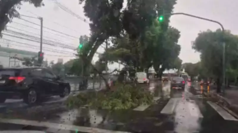 Defesa Civil emite alerta severo para chuva forte com risco de granizo no Vale do Paraíba
