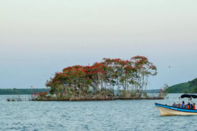 Delta do Parnaíba registra crescimento de 23,6% na visitação turística em janeiro de 2026