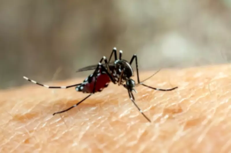 Dia D contra a dengue mobiliza 98 cidades do Sul de Minas em ação regional de combate ao Aedes aegypti
