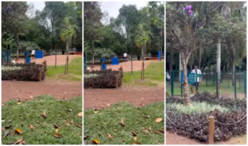 Discussão por regras em cachorródromo do Ibirapuera termina em agressão a casal