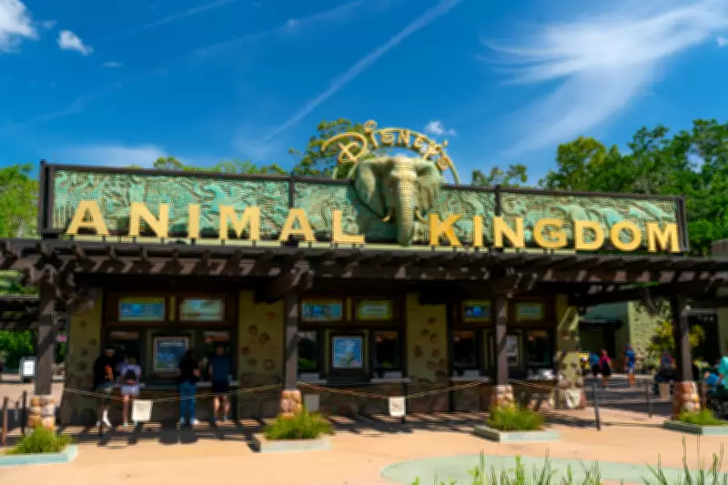 Disney aposenta DinoLand USA após 28 anos no Animal Kingdom em Orlando