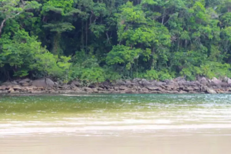 Dois homens morrem afogados no litoral de São Paulo em Bertioga e Praia Grande
