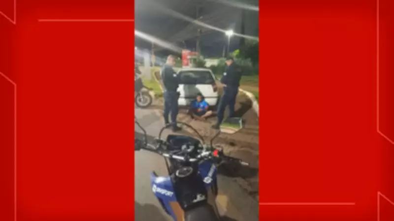 Dois homens são presos após furtar gansos no Parque da Cidade em Brasília