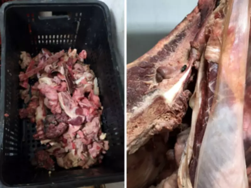 Dono de supermercado preso após apreensão de 400 kg de alimentos irregulares em Americana